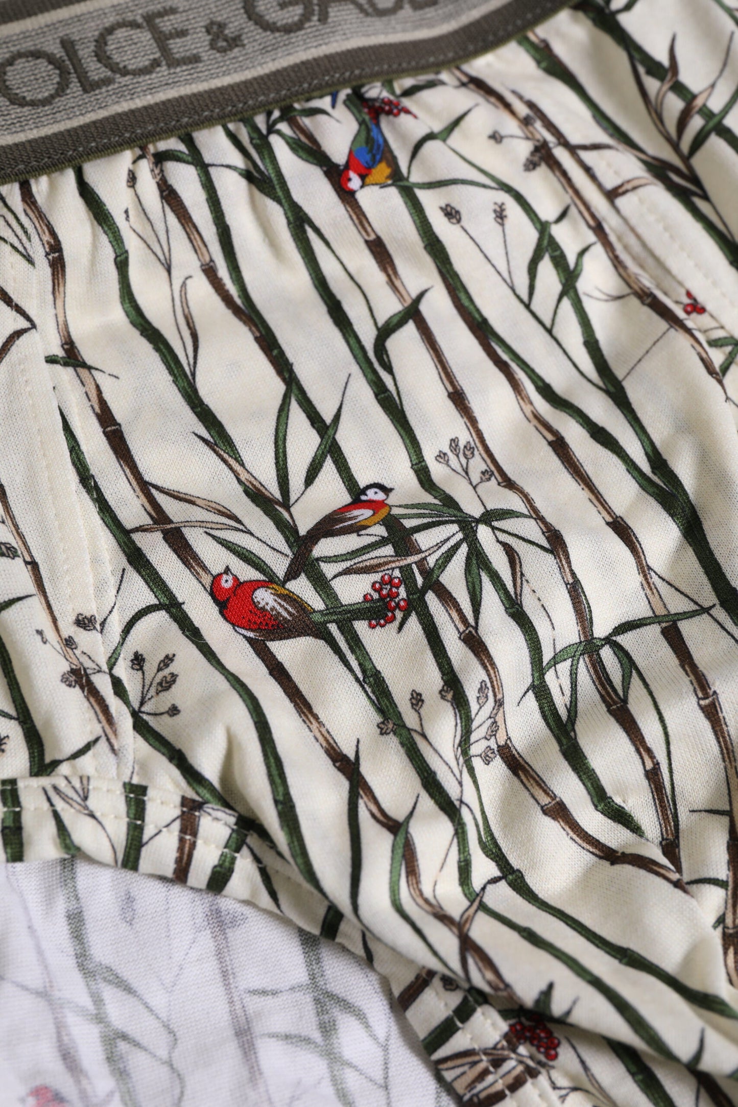 Ivory Bird Print Cotton Regular Brief Underwear