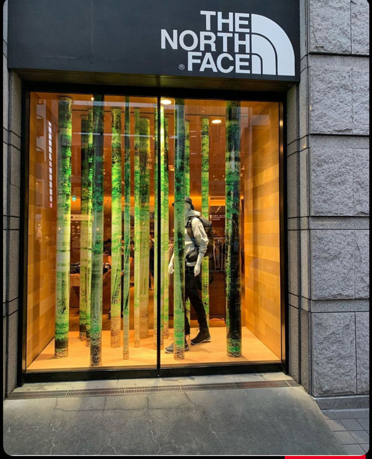 THE NORTH FACE