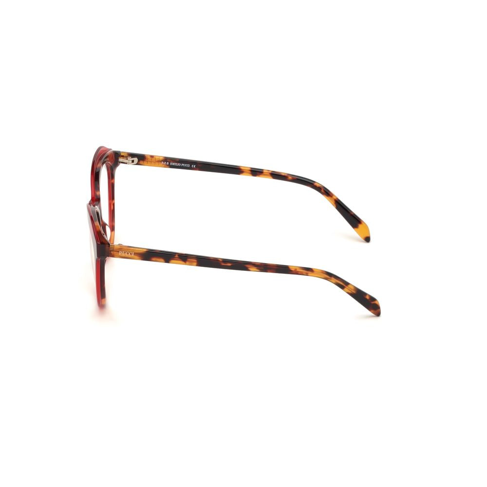 Brown Acetate Frames