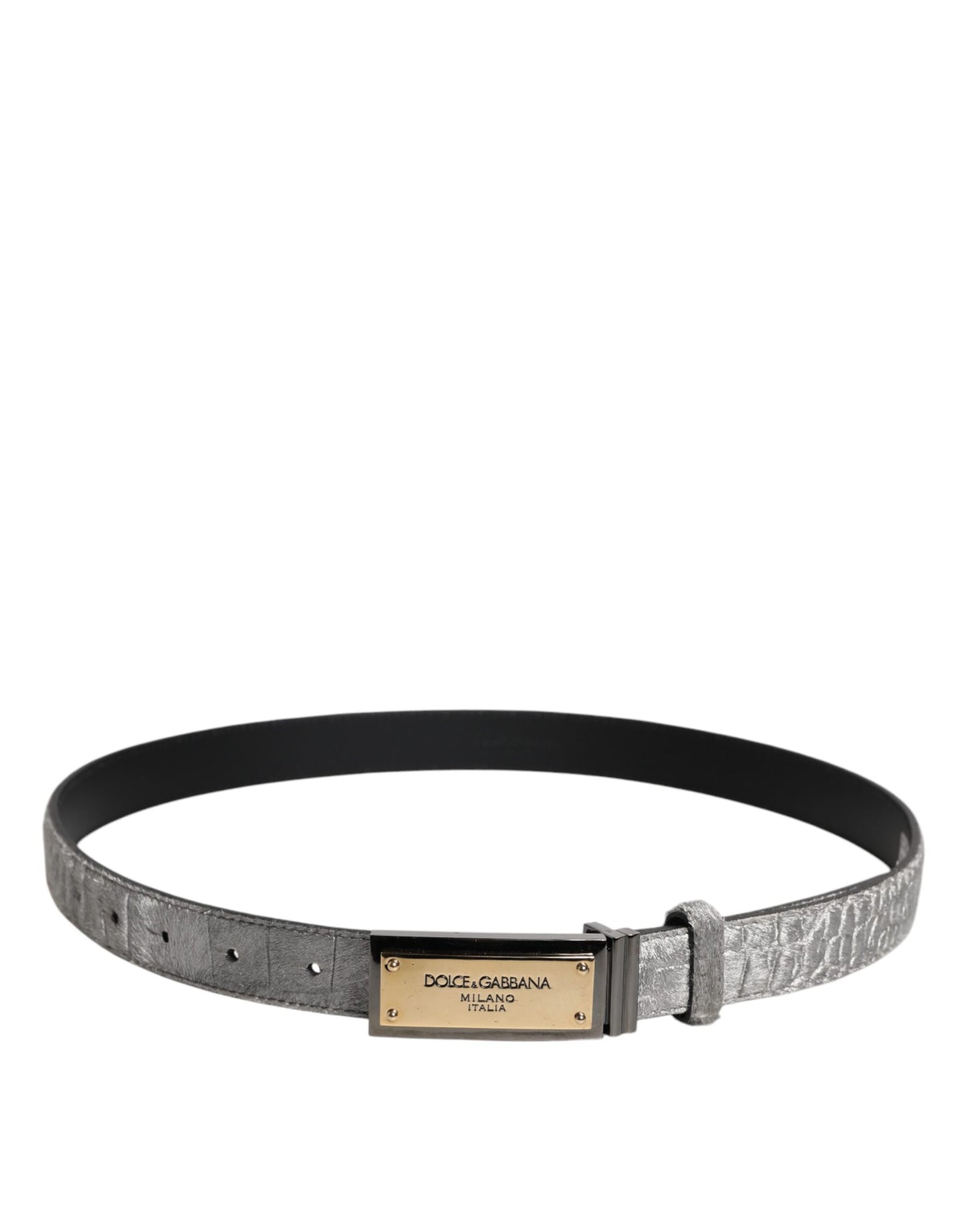 Dolce & Gabbana Silver Classic Gold Logo Plaque Buckle Belt