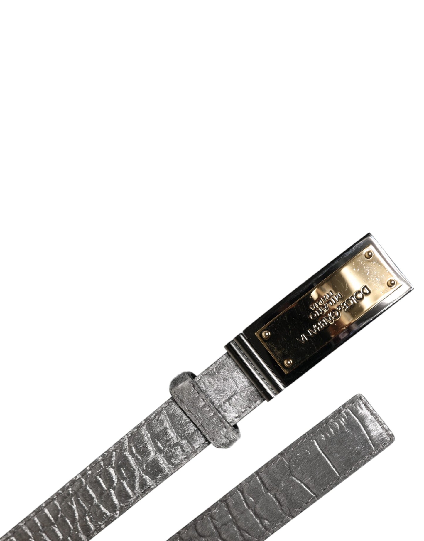 Dolce & Gabbana Silver Classic Gold Logo Plaque Buckle Belt