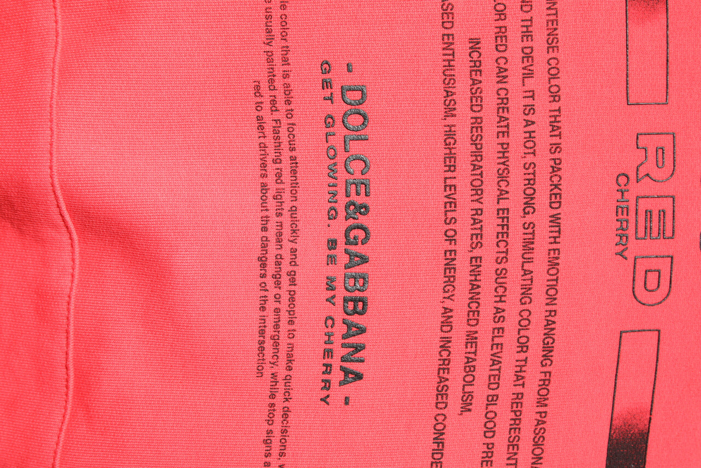 Red Logo Printed Hooded Sweatshirt Sweater