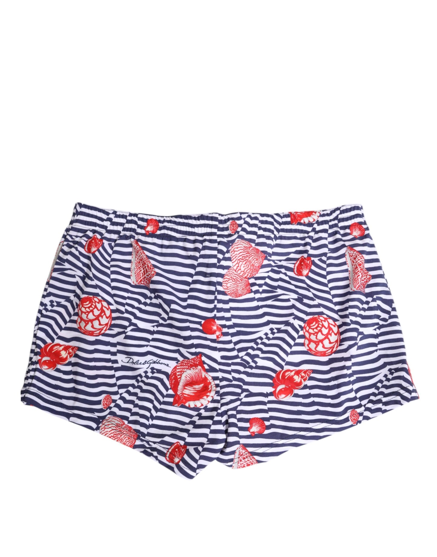 Multicolor Striped Beachwear Swim Trunk Swimwear