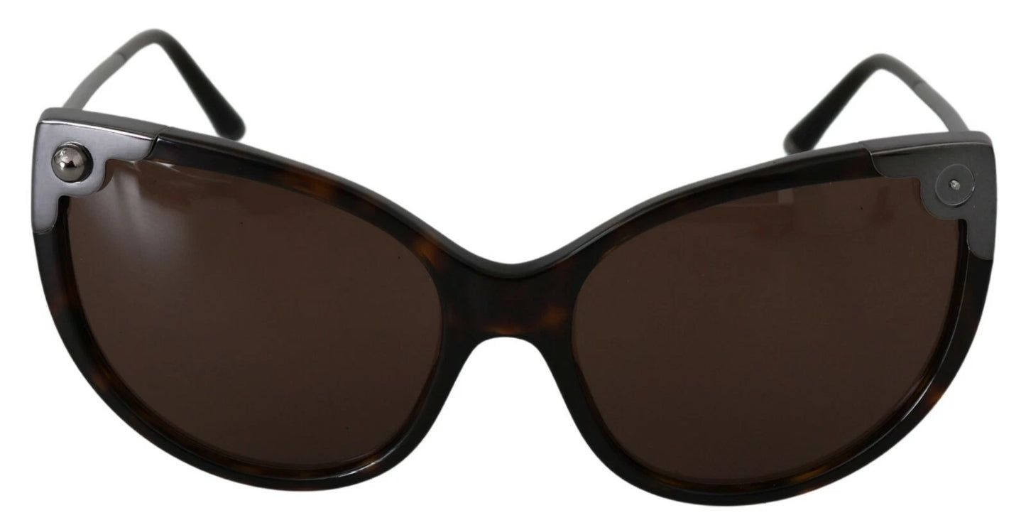 DG4337 Dark Havana Cat Eye Women Eyewear Sunglasses