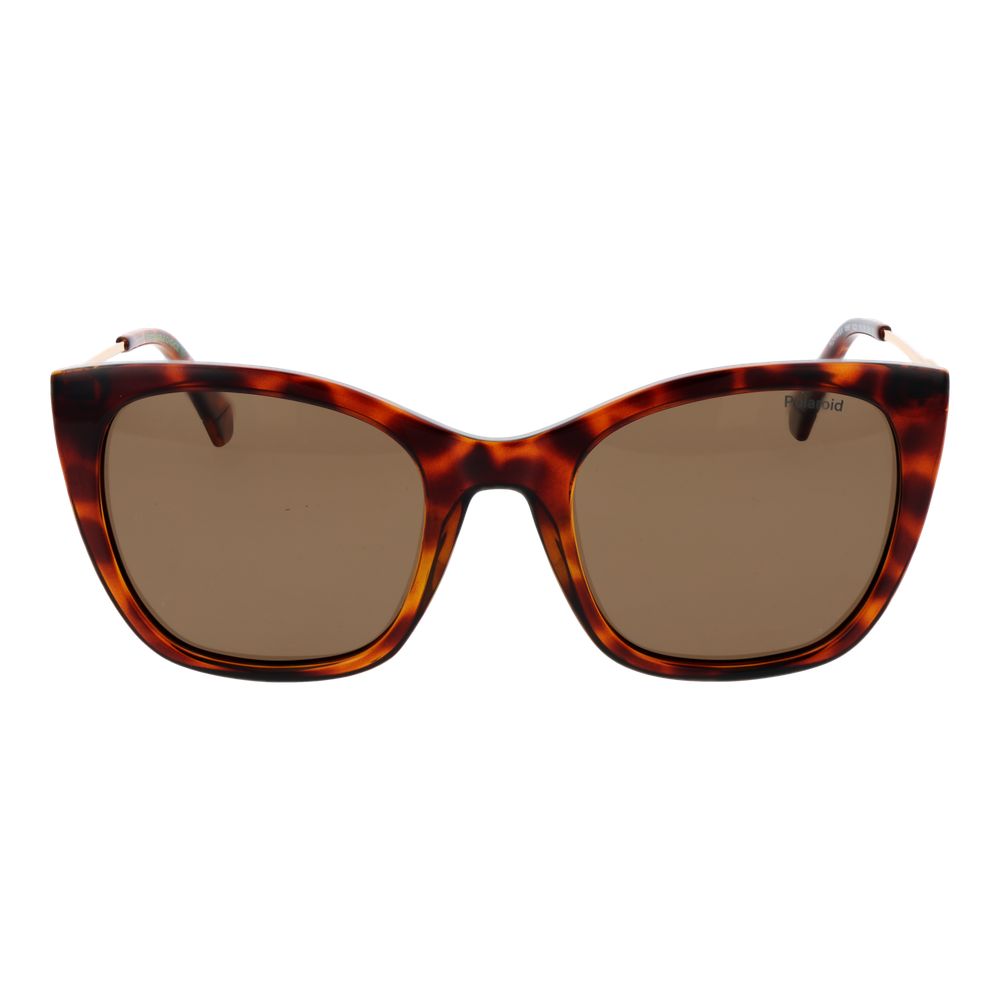 Polaroid Brown Plastic Sunglasses